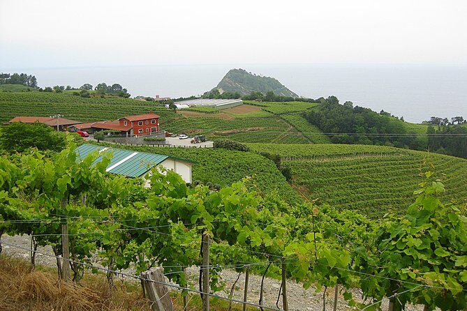 Discover the Essence of Txakoli Wine from San Sebastian - Final Thoughts