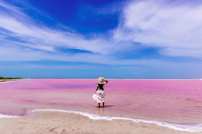 Discover the FABULOUS PINK WATERS at the Caribean (Las Coloradas+Río Lagartos) - Who Should Consider This Tour?