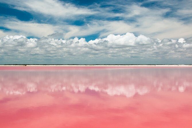 Discover the FABULOUS PINK WATERS in the Caribean - An In-Depth Look at the Tour Experience