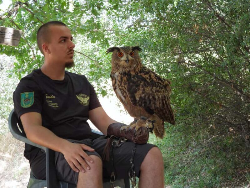 Discover the fantastic world of birds of prey in the Pollino National Park. - An honest look at the experience