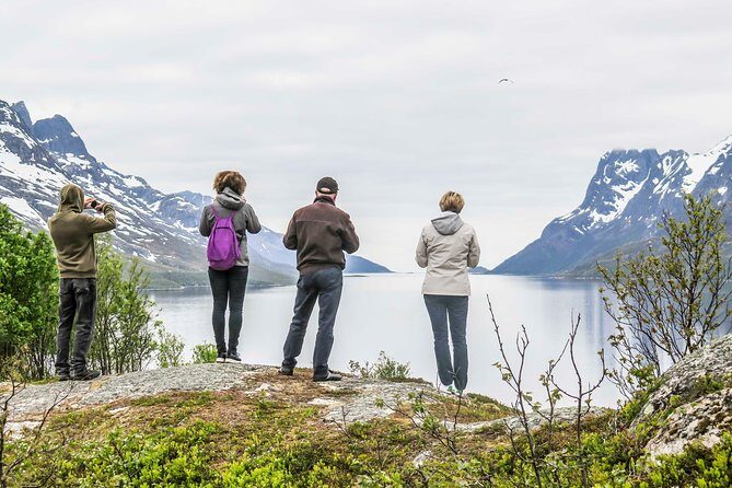 Discover the Fjords of Kvaloya - a roadtrip along fjords and fishing villages - Itinerary Breakdown and Why It Matters