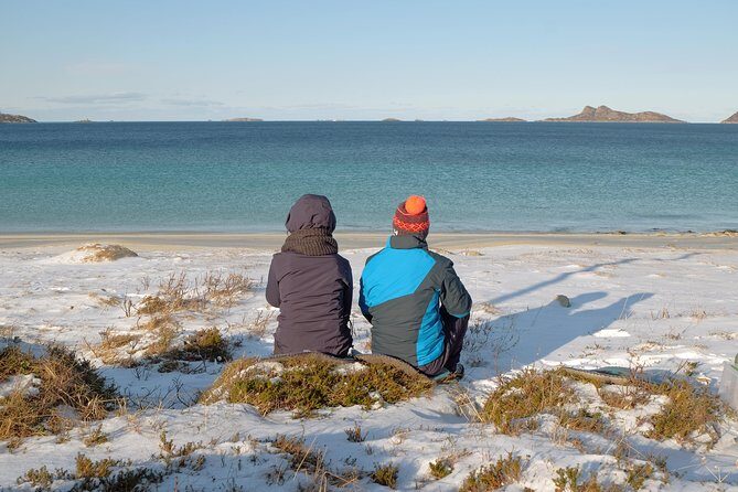 Discover the Fjords of Kvaloya - a roadtrip along fjords and fishing villages - Final Thoughts: Who Should Consider This Tour