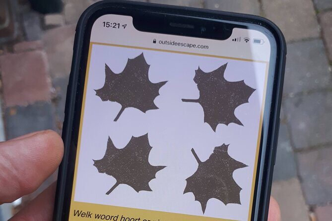 Discover The Hague's scenic courtyards in an Outside Escape game! - Frequently Asked Questions