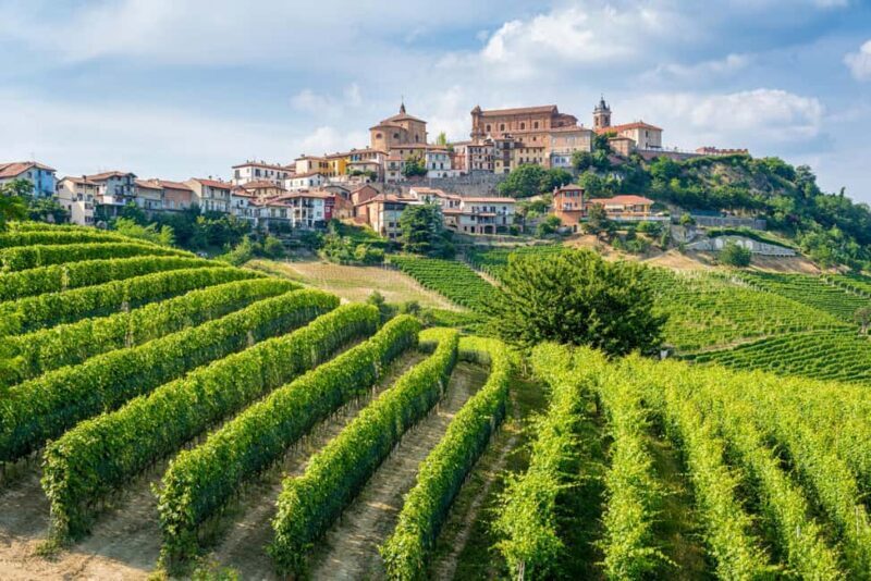 Discover the Heart of Alba and Barolo Reggion - Key Points