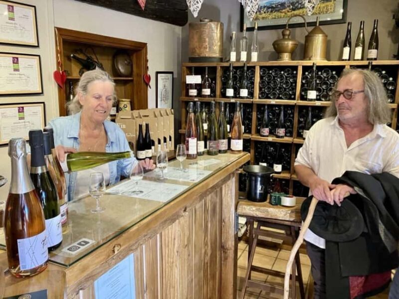 Discover the Heart of Alsace in Riquewihr - Who Should Consider This Tour?