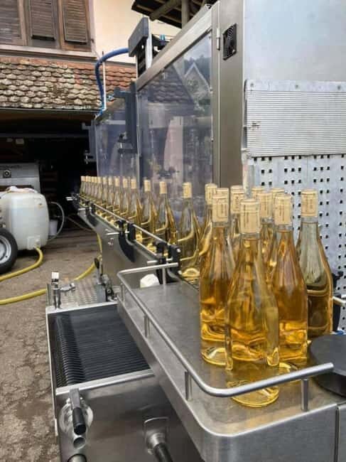 Discover the Heart of Alsace in Riquewihr - FAQs