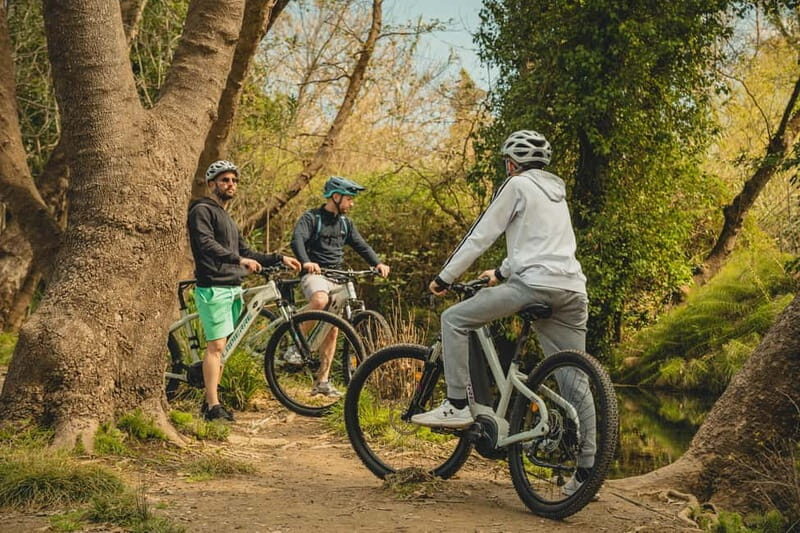 Discover the Heart of Crete on an E-Bike Adventure - Who Will Enjoy This Experience?