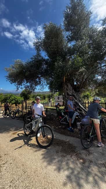 Discover the Heart of Crete on an E-Bike Adventure - Analyzing the Value
