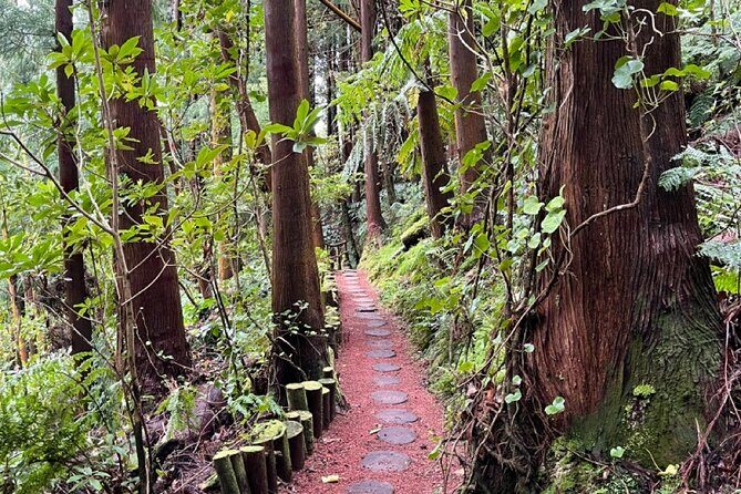 Discover the Hidden Gems of São Miguel - Full Day Private Tour - Exploring São Miguel’s Highlights