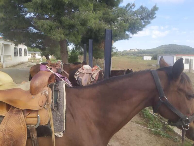 Discover the interior of Valencia on horseback - Exploring the Tour Itinerary