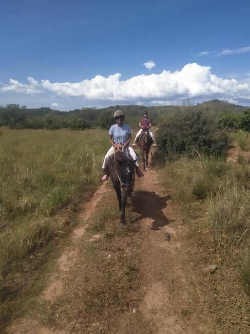 Discover the interior of Valencia on horseback - Authentic Reviews Snapshot