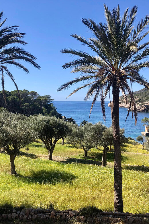 Discover the Island Dragonera by kayak and on foot - An In-Depth Look at the Dragonera Kayak and Foot Tour