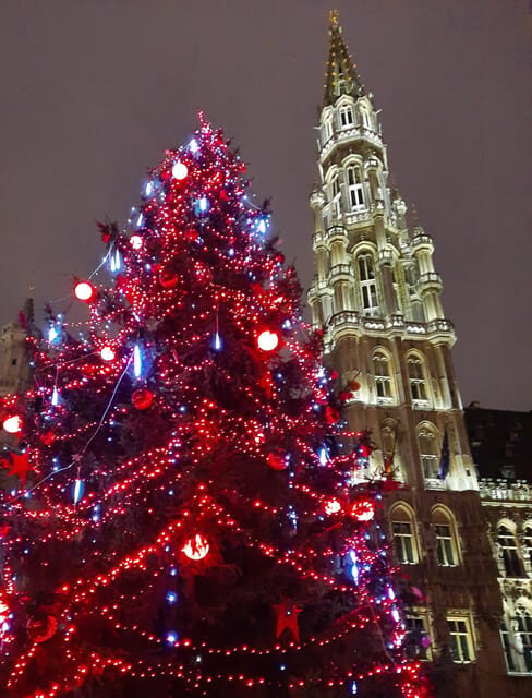Discover the magic of Christmas in Brussels with a local guide - Key Points