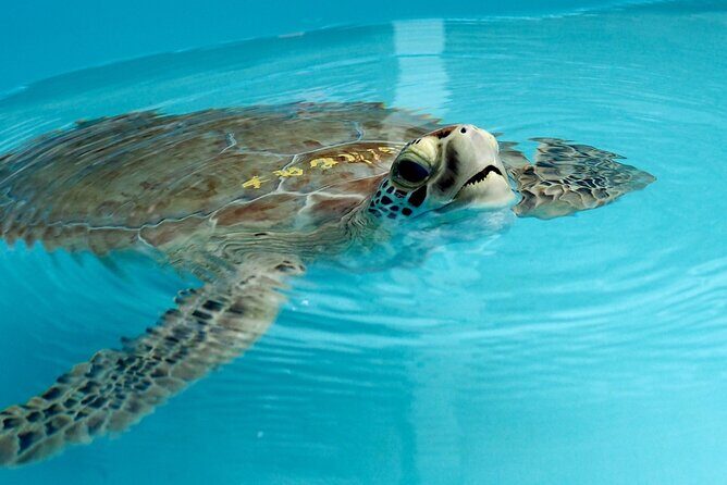 Discover the Marquesas Keys Private Experience - Key Points