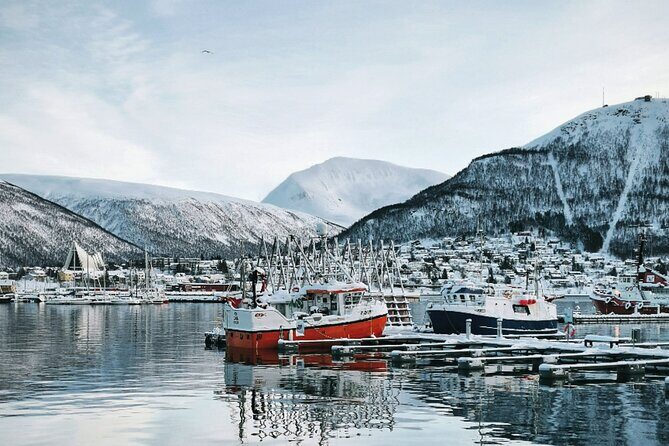 Discover the most Photogenic Spots of Tromsø with a Local - A Closer Look at the Experience
