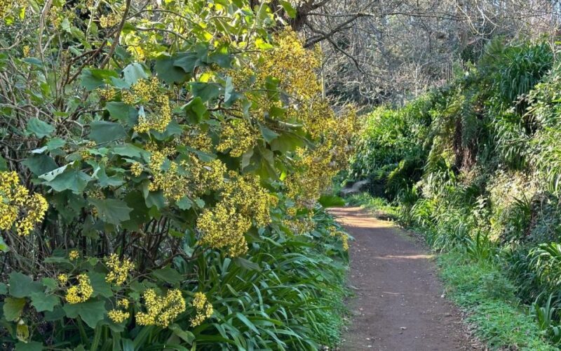 Discover the Paradise Valley - a quick escape for Everyone - What Is the Discover the Paradise Valley Tour?