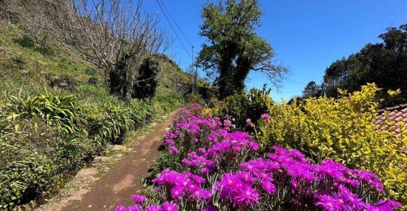 Discover the Paradise Valley - a quick escape for Everyone - Practical Details & Value