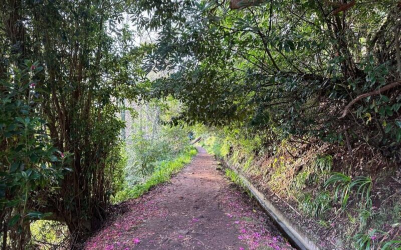 Discover the Paradise Valley - a quick escape for Everyone - Who Will Like This Tour?