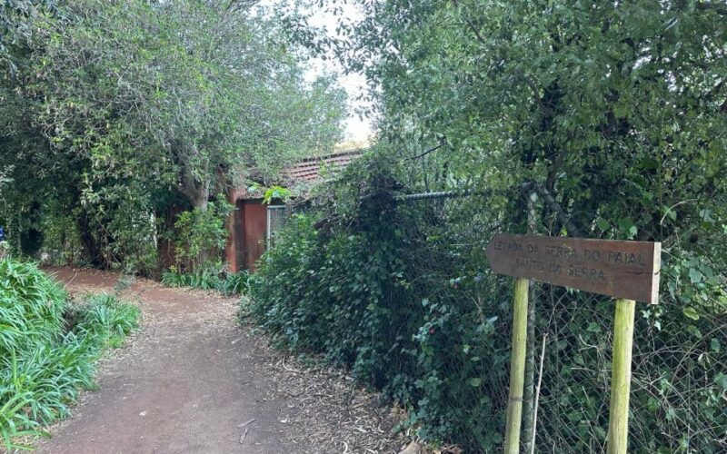 Discover the Paradise Valley - a quick escape for Everyone - What Are the Downsides?