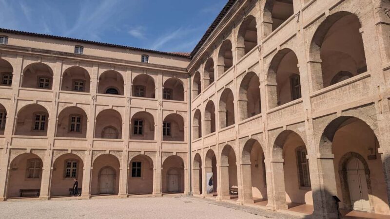 Discover the real Marseille with a local guide in your language - What makes this tour special