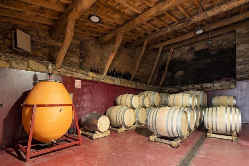 Discover the Ribeira Sacra with a unique wine experience! - Discover the Ribeira Sacra with a unique wine experience!