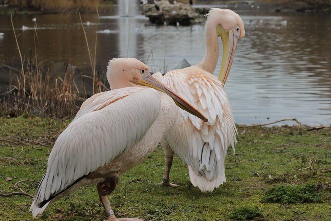 Discover the Secrets of Whitehall - Final Thoughts