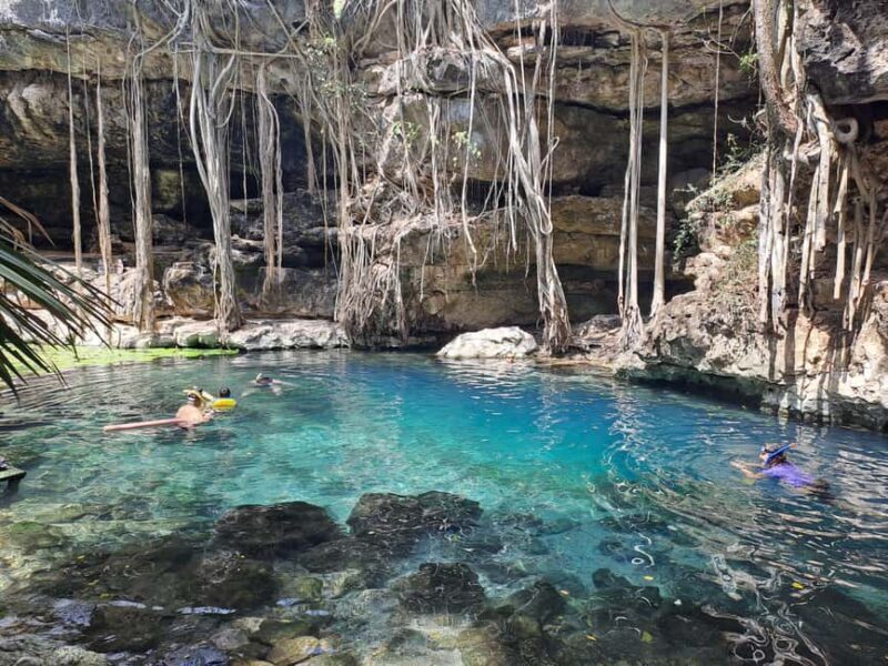 Discover the Serenity: A Tour of the Hidden Cenotes (PVT) - Why Choose This Tour?
