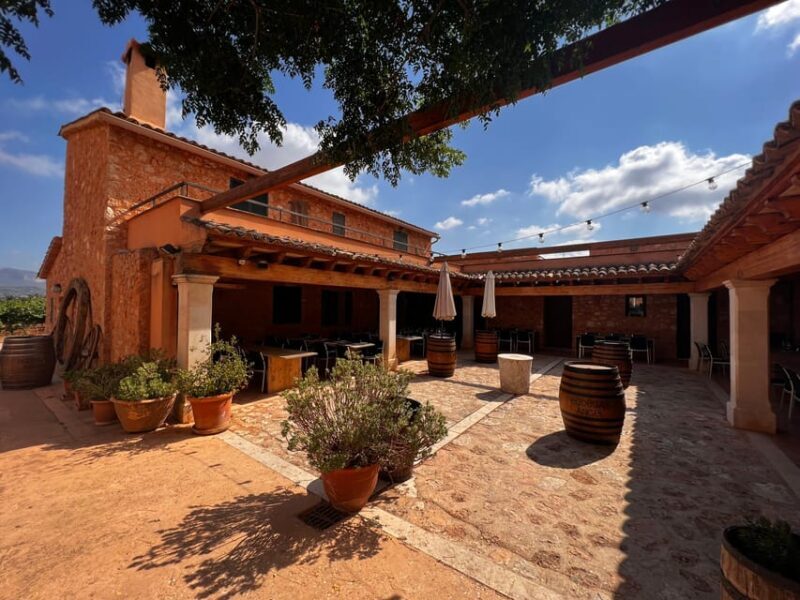 Discover the treasures of the Mallorca wine on a top winery - Final Thoughts