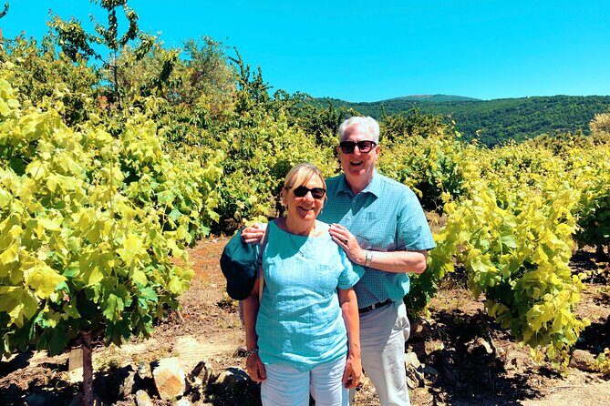 Discover the unique wine and villages of the Sierra de Salamanca - Who Will Love This Tour?