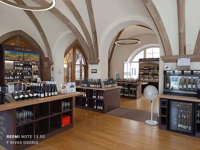 Discover the Wines of Alsace and a brief introduction to Strasbourg. - The Overview and What It Offers