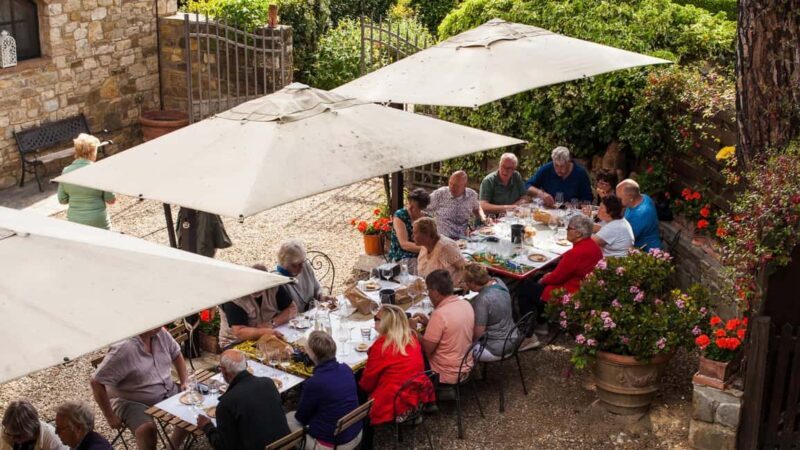 Discover the wines of Chianti Classico with a visit and tasting at Viticcio. - Key Points