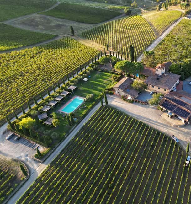 Discover the wines of Chianti Classico with a visit and tasting at Viticcio. - Introduction to the Viticcio Tour