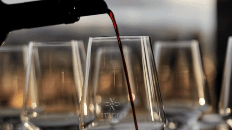 Discover the wines of Chianti Classico with a visit and tasting at Viticcio. - What This Tour Offers and Who It’s For