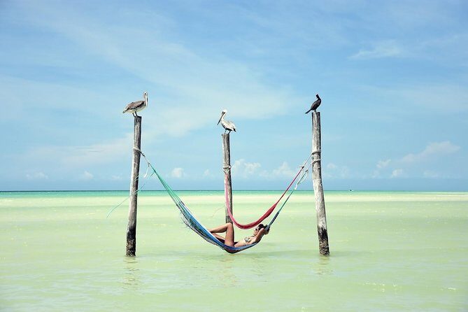 Discover the Wonders of Holbox, Cenote and Passion Island. Transport included - Final Thoughts: Is This Tour Right for You?