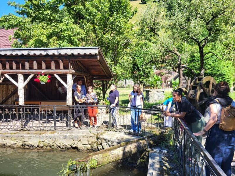 Discover Transylvania: Bran Castle & BV Day Trip from Sibiu - What We Think