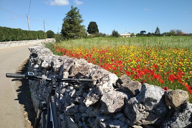 Discover Valle d 'Itria and its wines by ebike - FAQ