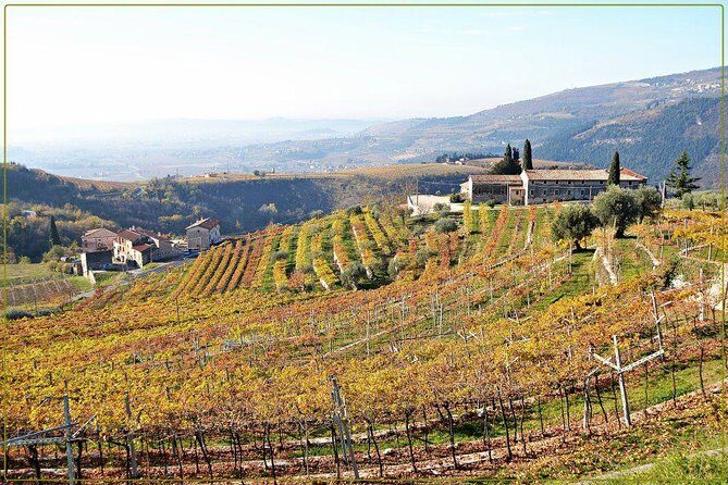 Discover Valpolicella Vineyards and Wine Tasting Experience - Who Will Love This Experience?
