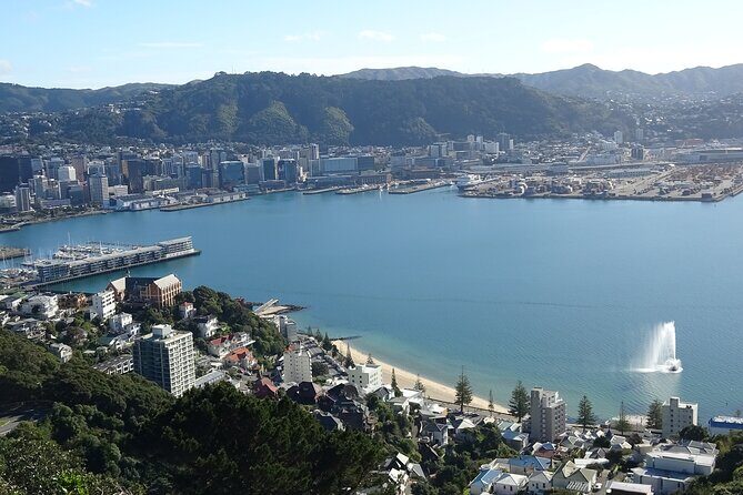 Discover Wellington 3 hour City Tour - Key Points