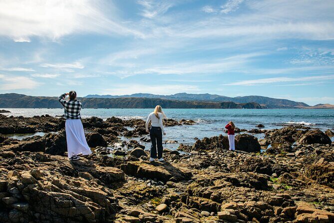 Discover Wellington 3 hour City Tour - What to Expect from the Itinerary