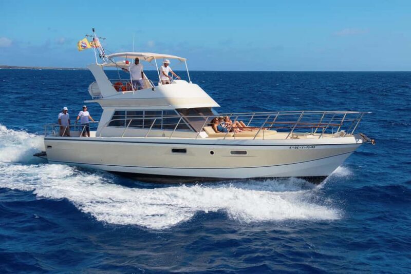 Discover whales in Tenerife: exclusive yacht tour with swim and lunch - Who is this tour perfect for?