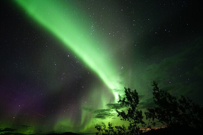 Discover Whitehorse with Northern Lights and Yukon Wildlife Tour - FAQs