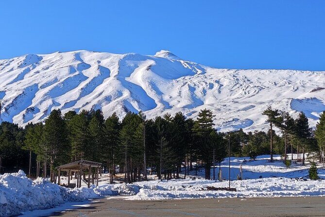 Discover Your Sicilian Roots: Personalized Tour - Final Word