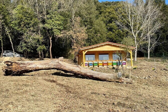 Discovering Bees in Volterra - The Setting and Logistics