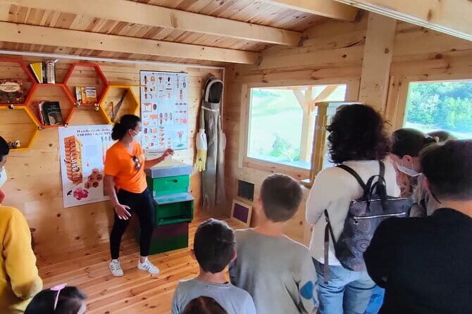 Discovering Bees in Volterra - The Sum Up