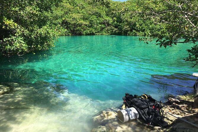 Discovering Breathtaking Cenotes in Tulum - The Sum Up