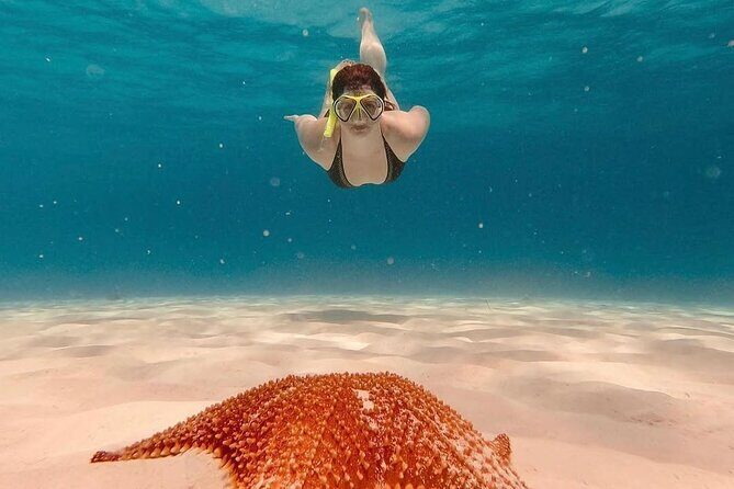 Discovering El Cielo Reef by Double Decker Catamaran - The Downside? A Few Considerations