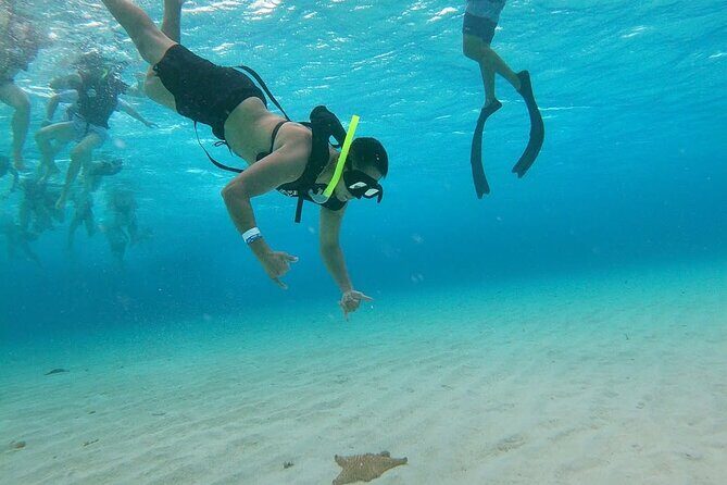 Discovering El Cielo Reef by Double Decker Catamaran - Final Thoughts