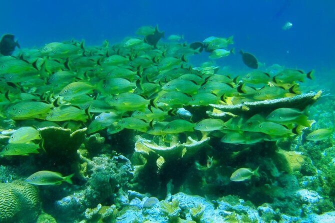 Discovering Isla Mujeres on a Double Decker Catamaran - What Do the Reviews Say?