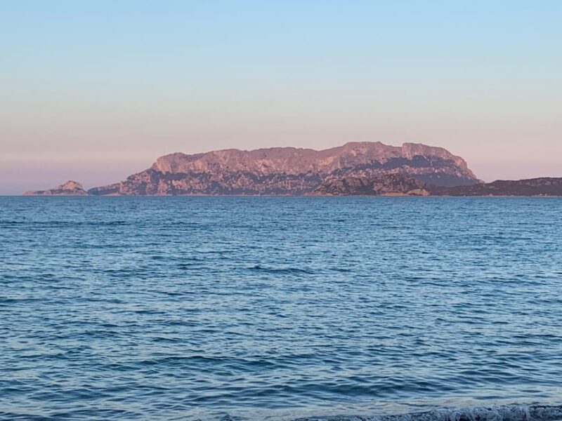 Discovering Mortorio Island with Capelli 6 met. All incl. - The Itinerary and What to Expect