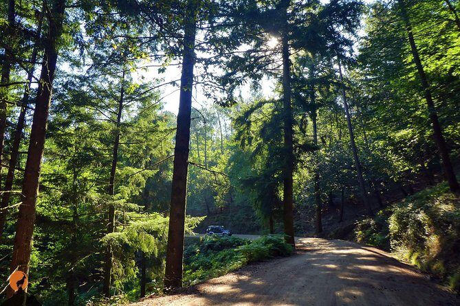 Discovering Nature in Serra da Lousã - What Makes This Tour Special?